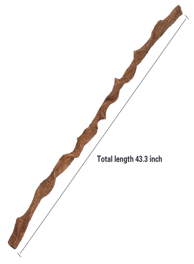 AQUA KT Reptile Twist Climber Vine Bendable Branch for Lizard Snake Bearded Dragon Crested Gecko Climbing Accessory Terrarium Habitat Decoration - Image 4